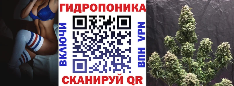 Купить где  Беломорск  Каннабис Bruce Banner 